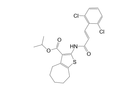 isopropyl 2-{[(2E)-3-(2,6-dichlorophenyl)-2-propenoyl]amino}-5,6,7,8-tetrahydro-4H-cyclohepta[b]thiophene-3-carboxylate