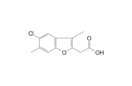 5-CHLORO-3,6-DIMETHYL-2-BENZOFURANACETIC ACID