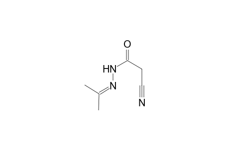 2-Cyano-N'-(1-methylethylidene)acetohydrazide