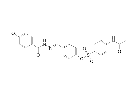 4-{(E)-[2-(4-methoxybenzoyl)hydrazono]methyl}phenyl 4-(acetylamino)benzenesulfonate