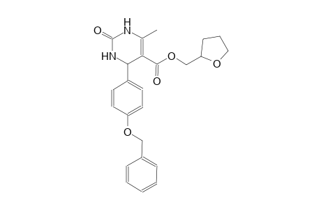 tetrahydro-2-furanylmethyl 4-[4-(benzyloxy)phenyl]-6-methyl-2-oxo-1,2,3,4-tetrahydro-5-pyrimidinecarboxylate
