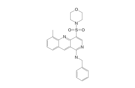 4-(1-BENZYLAMINO-6-METHYLBENZO-[B]-[1,6]-NAPHTHYRIDINE-4-SULFONYL)-MORPHOLINE