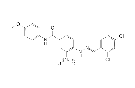 4-[(2E)-2-(2,4-dichlorobenzylidene)hydrazino]-N-(4-methoxyphenyl)-3-nitrobenzamide
