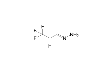 ANTI-3,3,3-TRIFLUOROPROPANAL, HYDRAZONE