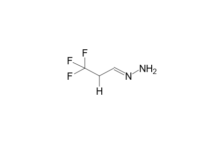 ANTI-3,3,3-TRIFLUOROPROPANAL, HYDRAZONE