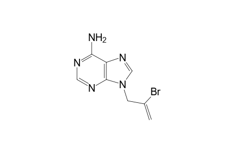 9-(2-bromanylprop-2-enyl)purin-6-amine