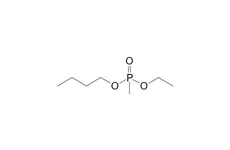 1-[Ethoxy(methyl)phosphoryl]oxybutane