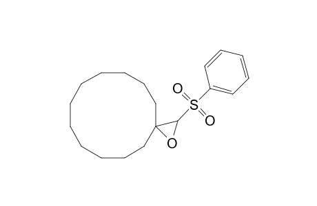 1-Oxaspiro[2.11]tetradecane, 2-(phenylsulfonyl)-