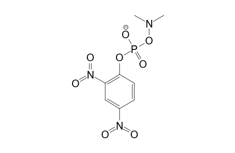 dimethylamino (2,4-dinitrophenyl) phosphate
