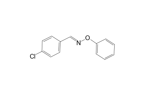 Benzaldehyde, 4-chloro-, O-phenyloxime