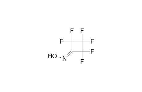 Cyclobutanone, hexafluoro-, oxime