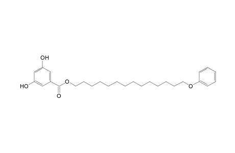 14'phenoxytetradecanyl 3,5-dihydroxybenzoate