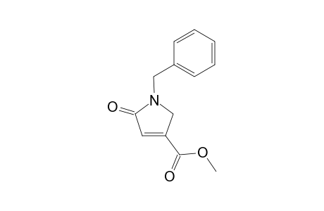 4-Methoxycarbonyl-1-N-benzyl-.delta.(3)-pyrrolin-2-one