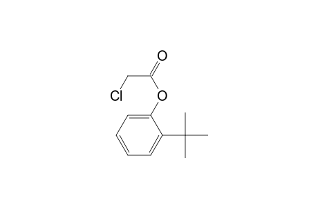 2-tert-Butylphenyl chloroacetate