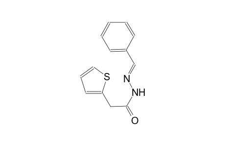 N'-[(E)-phenylmethylidene]-2-(2-thienyl)acetohydrazide