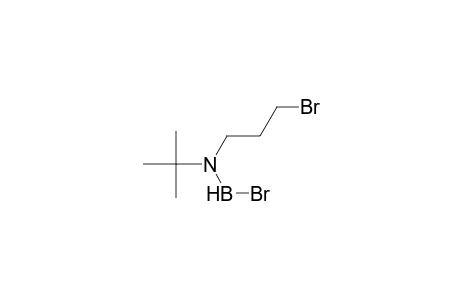 bromo(3-bromopropyl)-t-butylaminoborane