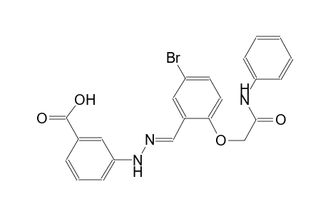 3-{(2E)-2-[2-(2-anilino-2-oxoethoxy)-5-bromobenzylidene]hydrazino}benzoic acid