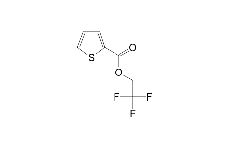 Thiophene-2-carboxylic acid, 2,2,2-trifluoroethyl ester