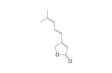 (E)-Scobinolide [(2'E)-4-(4'-methylpenta-1',3'-dien-1'-yl)furan-2(5H)-one]