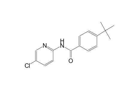 4-tert-Butyl-N-(5-chloro-pyridin-2-yl)-benzamide