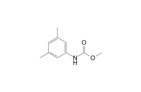 Carbamic acid, (3,5-dimethylphenyl)-, methyl ester
