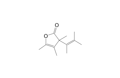 2(3H)-Furanone, 3-(1,2-dimethyl-1-propenyl)-3,4,5-trimethyl-