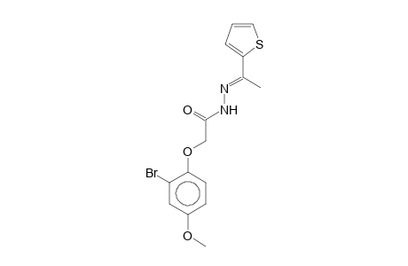 2-(2-Bromo-4-methoxyphenoxy)-N'-[(E)-1-(2-thienyl)ethylidene]acetohydrazide