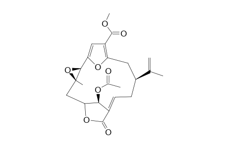 WCKOIIISBRUNLN-CIUKPTIMSA-N