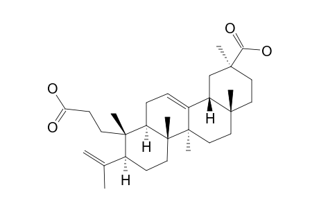 KOETJAPIC-ACID;3,4-SECO-OLEAN-4(23),12-DIENE-3,30-DIOIC-ACID