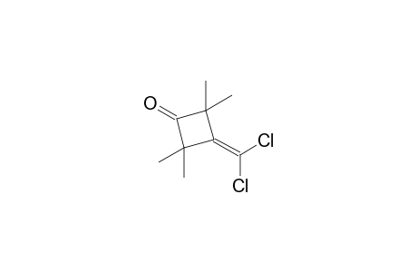 3-(Dichloromethylidene)-2,2,4,4-tetramethylcyclobutanone