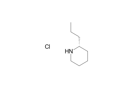 (R)-(-)-Coniine hydrochloride