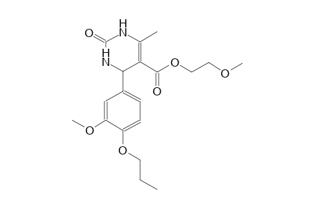 5-pyrimidinecarboxylic acid, 1,2,3,4-tetrahydro-4-(3-methoxy-4-propoxyphenyl)-6-methyl-2-oxo-, 2-methoxyethyl ester