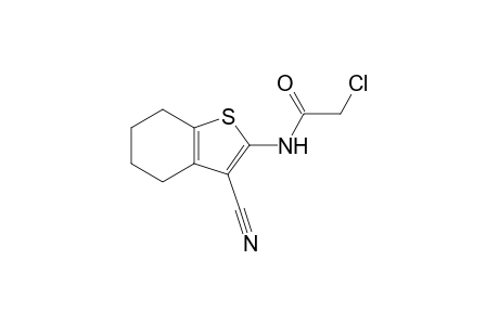 2-chloro-N-(3-cyano-4,5,6,7-tetrahydrobenzo[b]thiophen-2-yl)acetamide