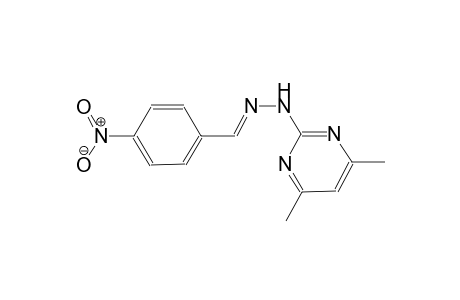 4-nitrobenzaldehyde (4,6-dimethyl-2-pyrimidinyl)hydrazone