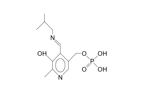 Pyridoxal phosphate isobutyl aldimine