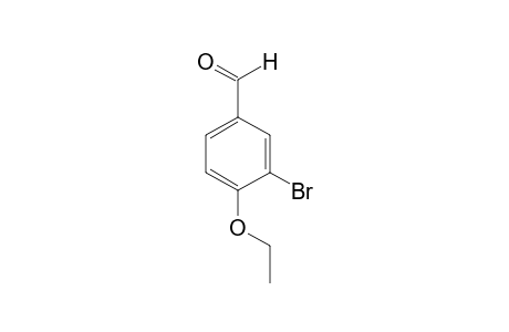 3-Bromo-4-ethoxybenzaldehyde