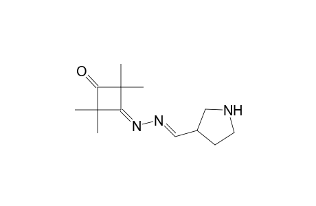 Pyrrolidine-4-carbaldehyde-[(2',2',4',4'-tetramethyl-3'-oxocyclobutylidene)hydrazone]