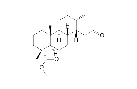 (1R,4aR,4bS,8R,8aS,10aR)-1,4a-dimethyl-7-methylene-8-(2-oxoethyl)-3,4,4b,5,6,8,8a,9,10,10a-decahydro-2H-phenanthrene-1-carboxylic acid methyl ester