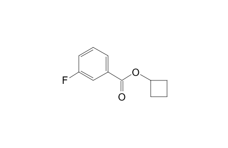 Cyclobutyl 3-fluorobenzoate