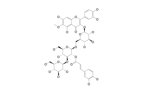 PATULETIN-3-O-[BETA-D-GLUCOPYRANOSYL-(1->3)-2-O-(E)-CAFFEOYL-BETA-D-GLUCOPYRANOSYL-(1->6)-BETA-D-GLUCOPYRANOSIDE]