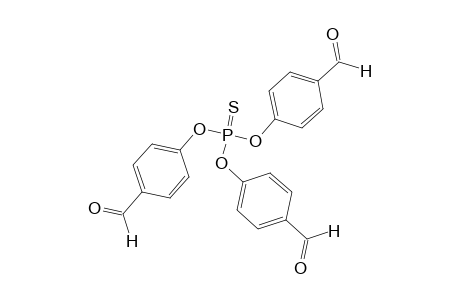 Thiophosphoryl-PMMH-3 Dendrimer, Generation 0.5