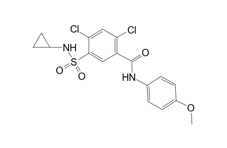Benzamide, 2,4-dichloro-5-[(cyclopropylamino)sulfonyl]-N-(4-methoxyphenyl)-