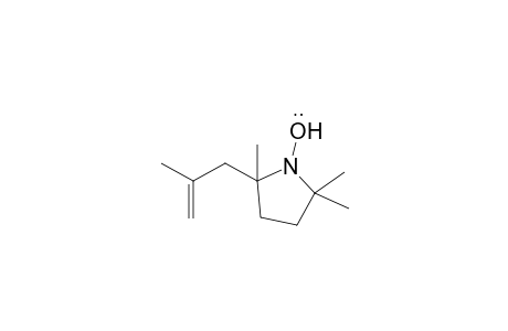 2,5,5-Trimethyl-2-(2-methylprop-2-enyl)pyrrolidin-1-yloxy radical