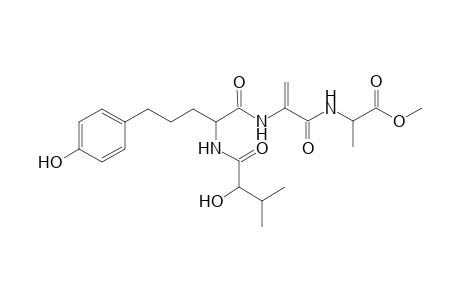 1-((1-methoxycarbonylethyl)aminocarbonyl)-1-((4-(p-hydroxyphenyl)-1-((1-hydroxy-2-methylpropyl)carbonylamino)butyl)carbonylamino)ethene