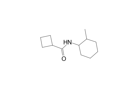 N-(2-methylcyclohexyl)cyclobutanecarboxamide