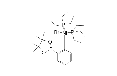 [NI-BR-[ORTHO-C6H4-B(PIN)]-(PET3)(2)]