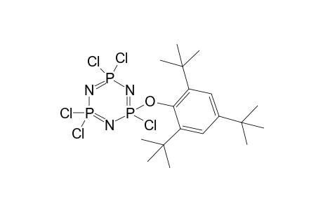 2-(2,4,6-tri-tert-butyl-phenoxo)-2,4,4,6,6-pentachlorocyclo-lambda5-triphosphazatriene