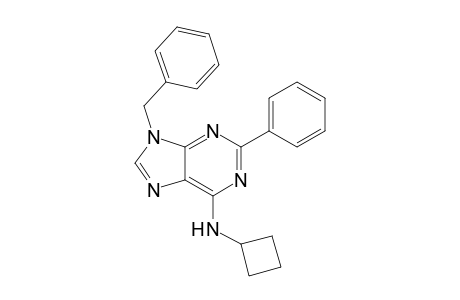 N6-Cyclobutyl-2-phenyl-9-benzyladenine