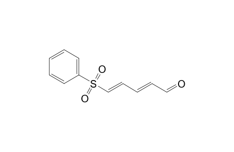 (2E,4E)-5-Phenylsulfonylpenta-2,4-dienal