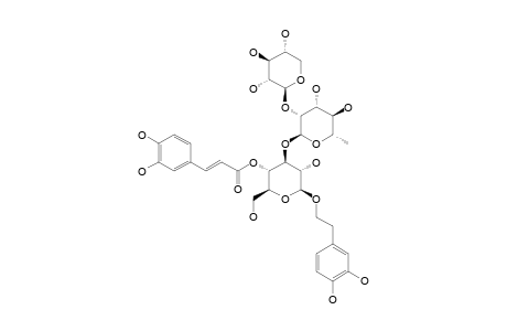 PHLINOSIDE-B;3,4-DIHYDROXY-BETA-PHENYLETHOXY-O-BETA-D-XYLOPYRANOSYL-(1->2)-ALPHA-L-RHAMNOPYRANOSYL-(1->3)-4-O-CAFFEOYL-BETA-D-GLUCOPYRANOSIDE